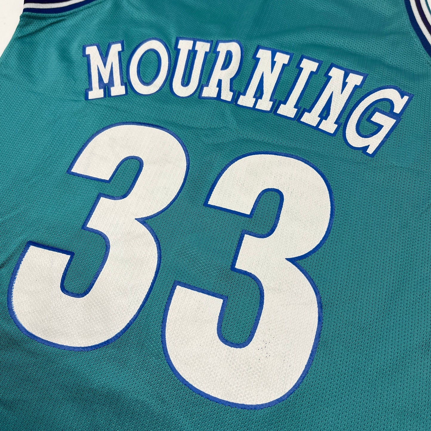 01900 Champion Alonzo Mourning Jersey