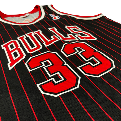 01022 Champion Chicago Bulls Scotty Pippen Jersey