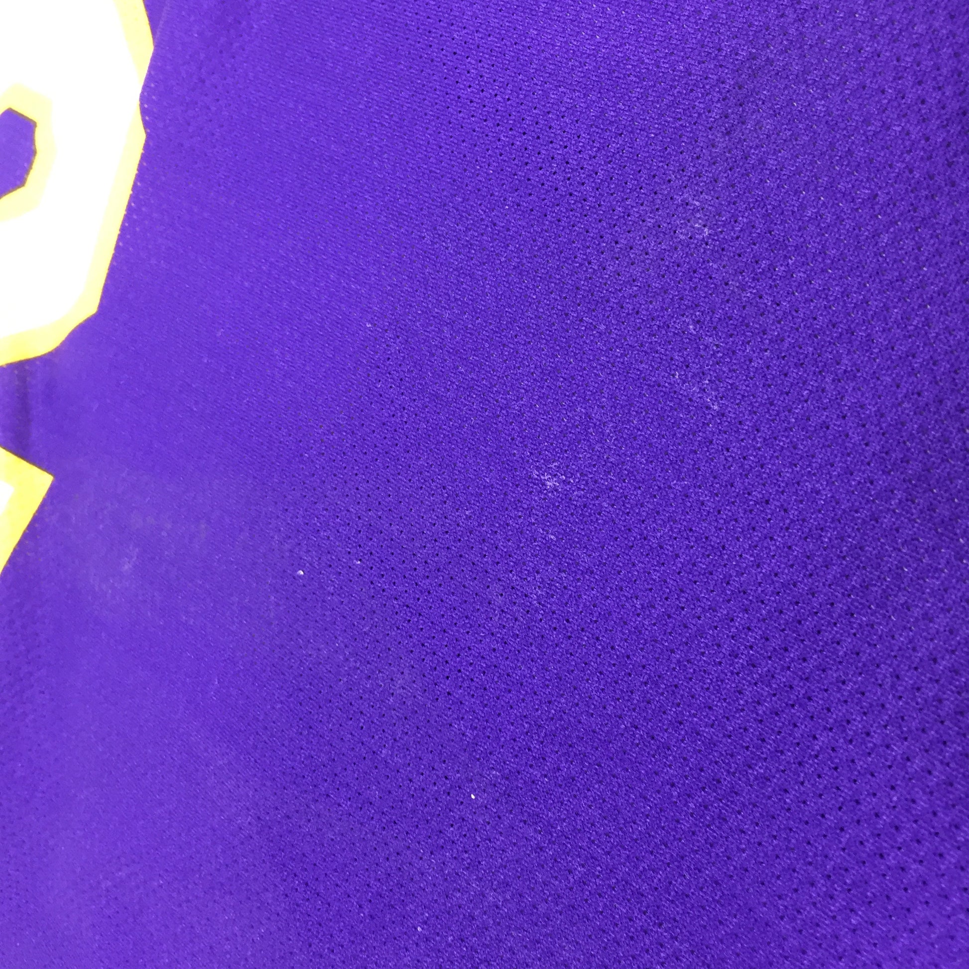 0393 Champion Vintage LA Lakers Gasol Jersey – PAUL'S FANSHOP