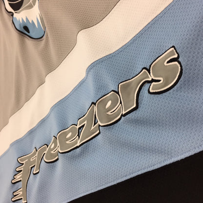 0357 Hamburg Freezers DHL Jersey